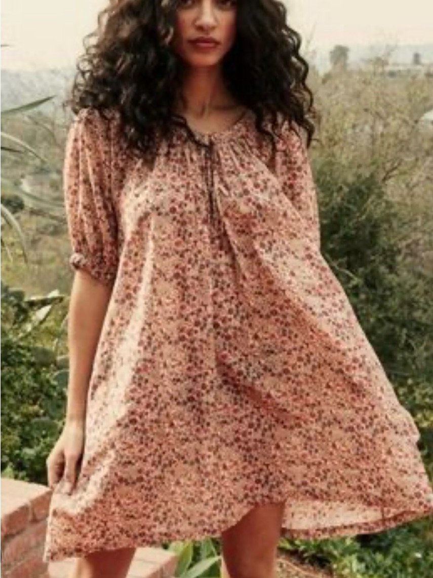Den Chestnut Dress